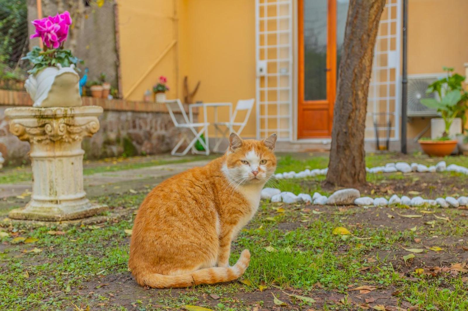 Villa Gatta 罗马 外观 照片
