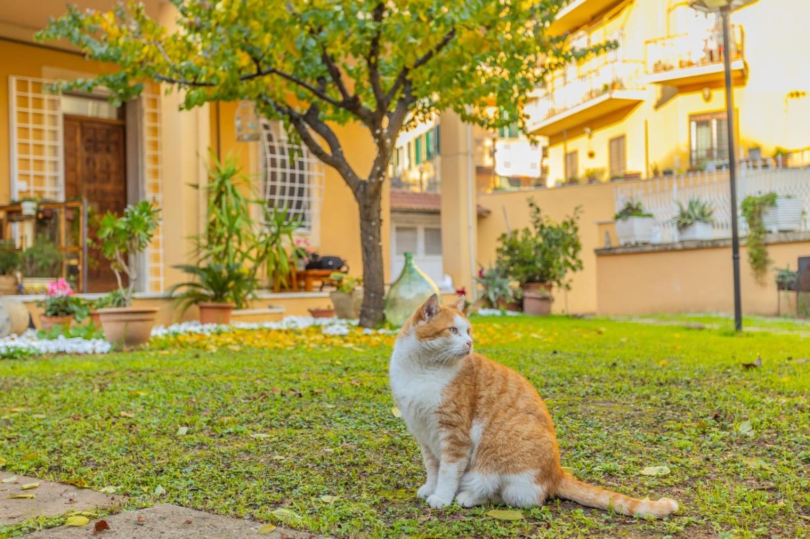 Villa Gatta 罗马 外观 照片